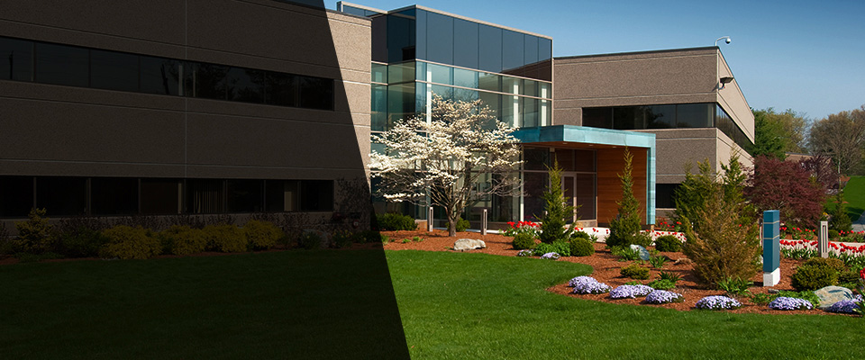 Port Saint Joe Landscapers