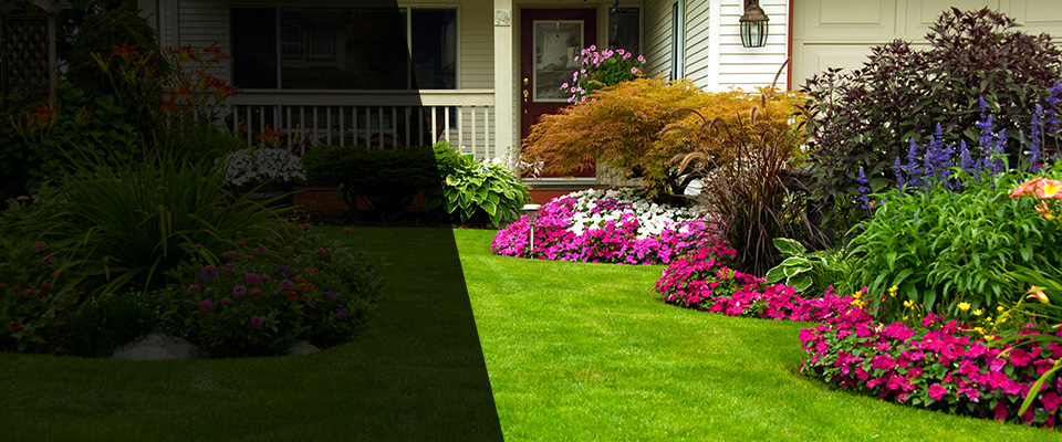 Port Saint Joe Landscapers