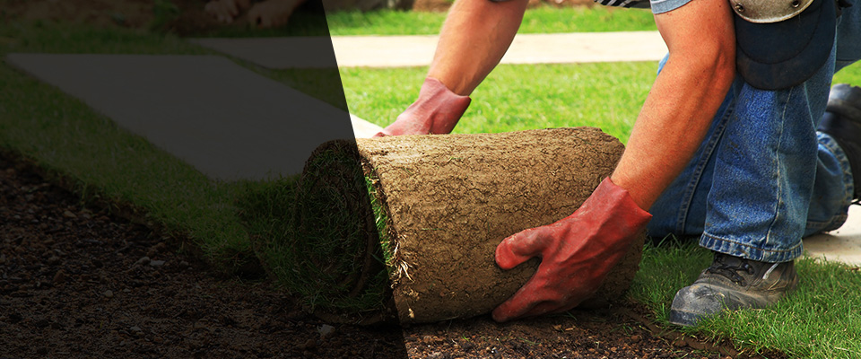 Port Saint Joe Landscapers